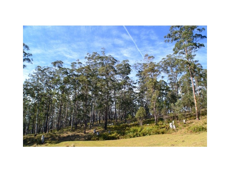 Lot 145 Costigans Road, Yarras NSW 2446