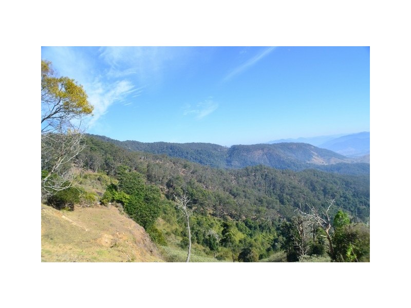 Lot 145 Costigans Road, Yarras NSW 2446