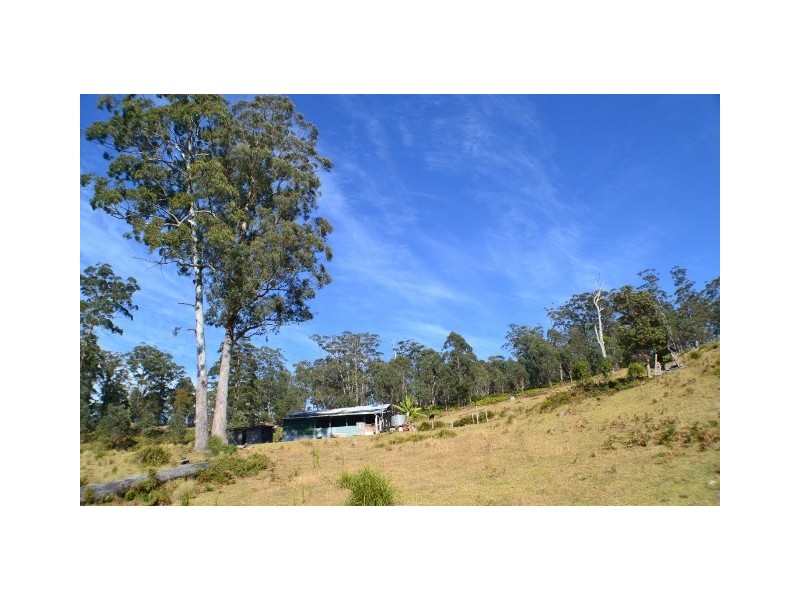 Lot 145 Costigans Road, Yarras NSW 2446