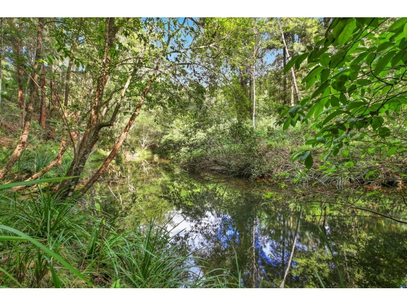 209 Crows Road, Bellangry NSW 2446