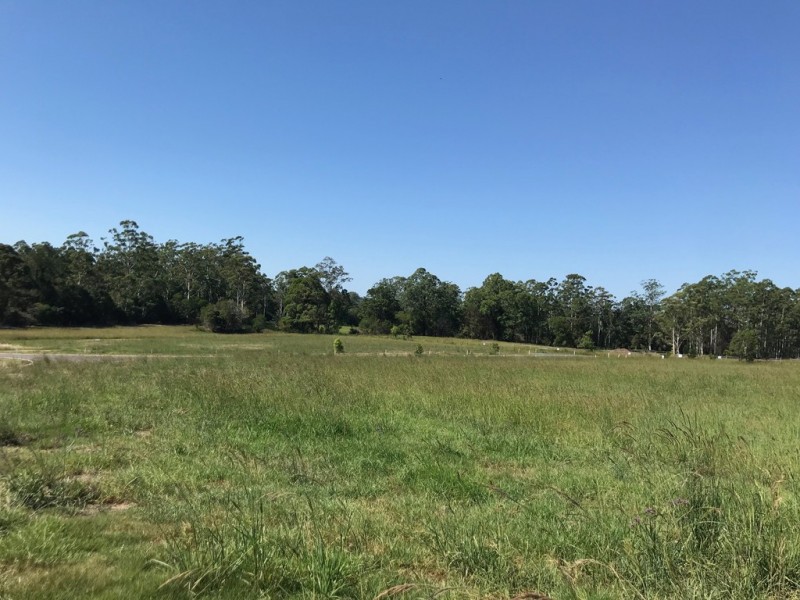 Lot 32 Stage 1 Beechwood Meadows, Beechwood via, Wauchope NSW 2446