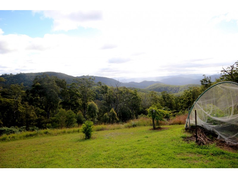 Lot 11 Toms Creek Road, Toms Creek NSW 2446