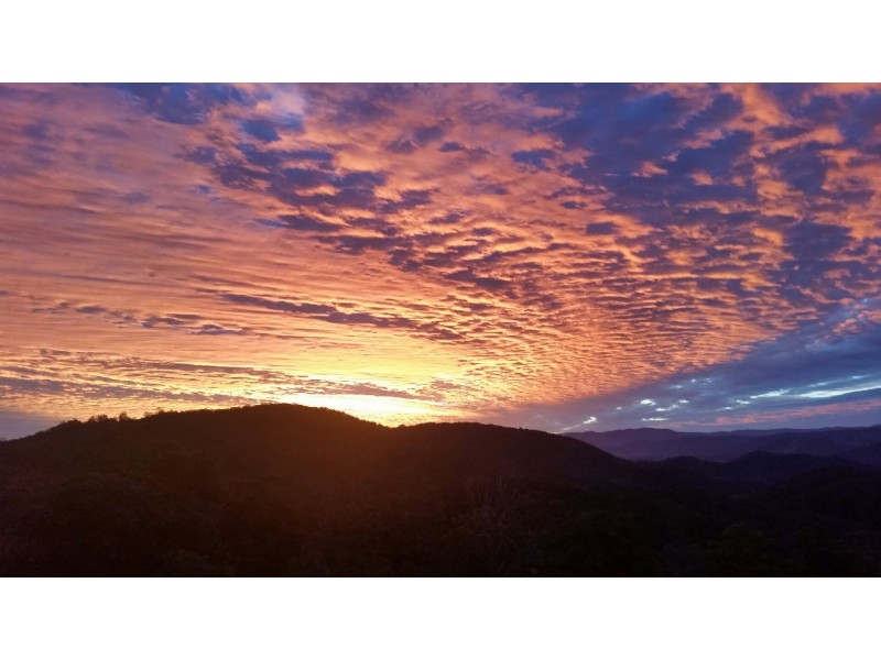Lot 11 Toms Creek Road, Toms Creek NSW 2446