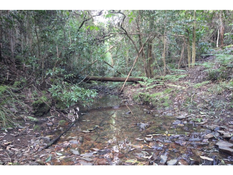 Lot 11 Toms Creek Road, Toms Creek NSW 2446