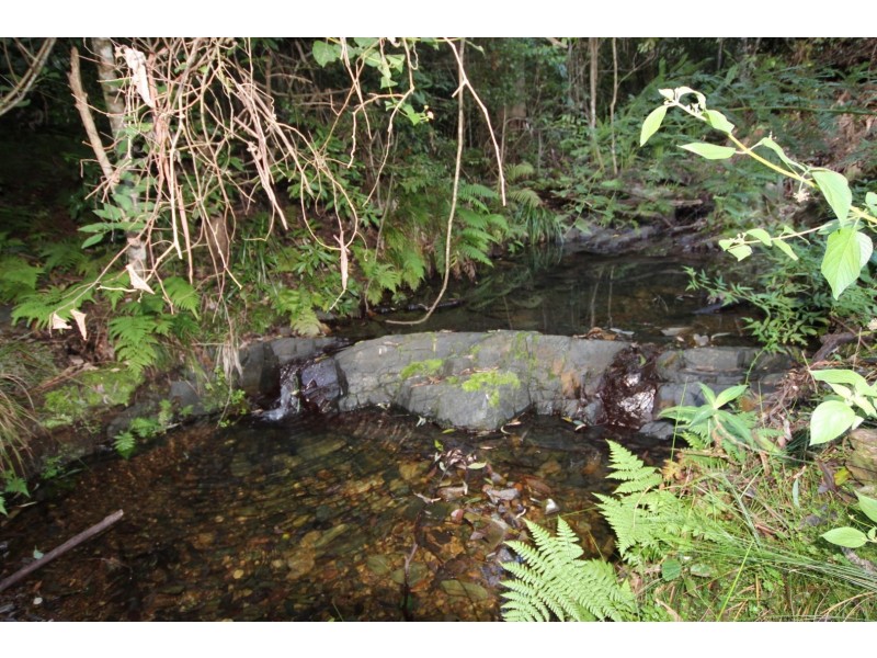 Lot 11 Toms Creek Road, Toms Creek NSW 2446