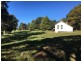 2750 Lorne Road, Comboyne NSW 2429