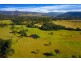 210 Jones Road, Byabarra NSW 2446