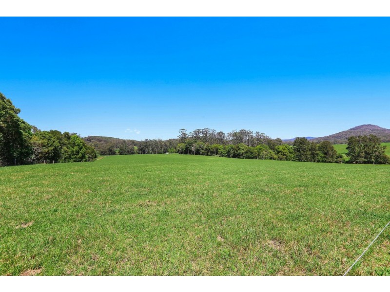 190 Bril Bril Road, Rollands Plains NSW 2441