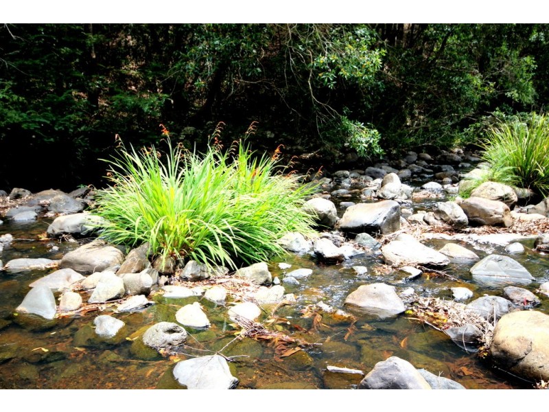 1538 Comboyne Road, Byabarra NSW 2446