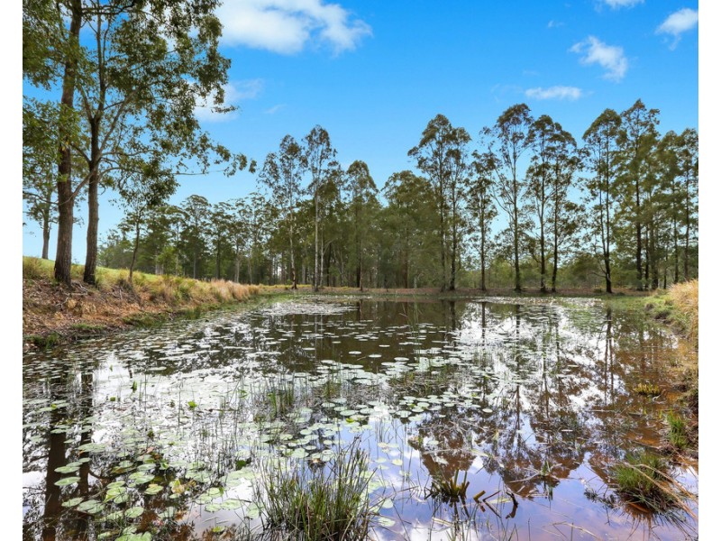 258 Waterhole Road, Rollands Plains NSW 2441