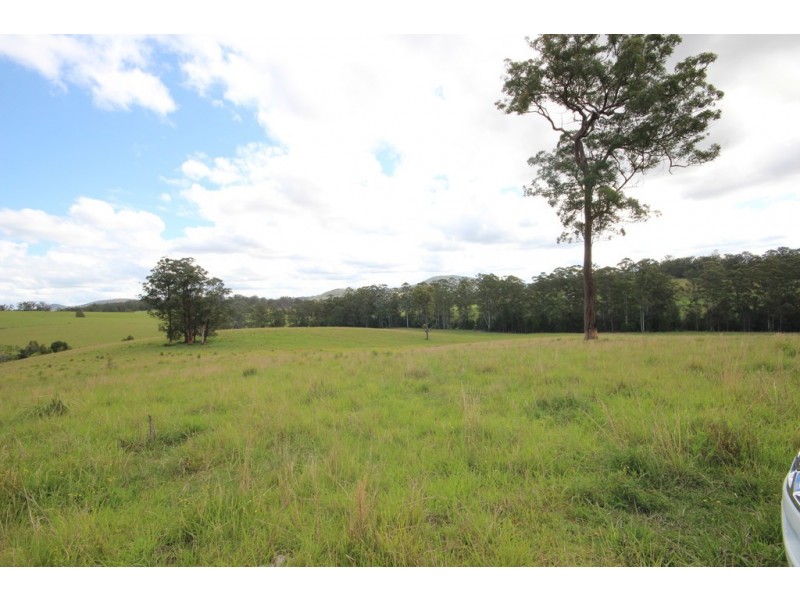 126 Eastern Boundary Road, Bellangry NSW 2446