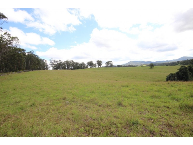 126 Eastern Boundary Road, Bellangry NSW 2446