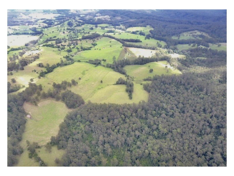 126 Eastern Boundary Road, Bellangry NSW 2446