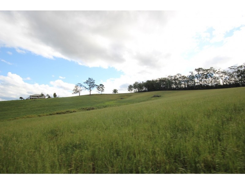 126 Eastern Boundary Road, Bellangry NSW 2446