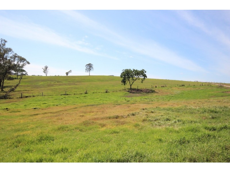 Long Flat NSW 2446