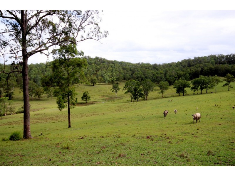 200 Wallis Road, Ellenborough NSW 2446