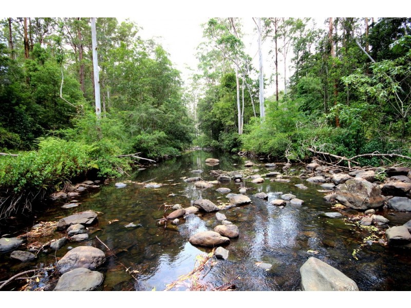 1538 Comboyne Road, Byabarra NSW 2446