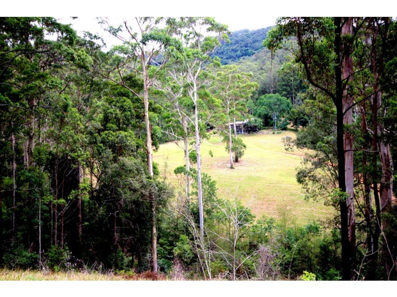 1538 Comboyne Road, Byabarra NSW 2446