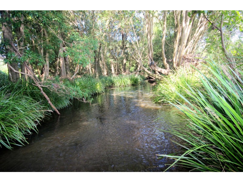 824 Bellangry Road, Bellangry NSW 2446