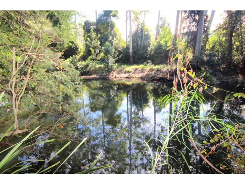 824 Bellangry Road, Bellangry NSW 2446