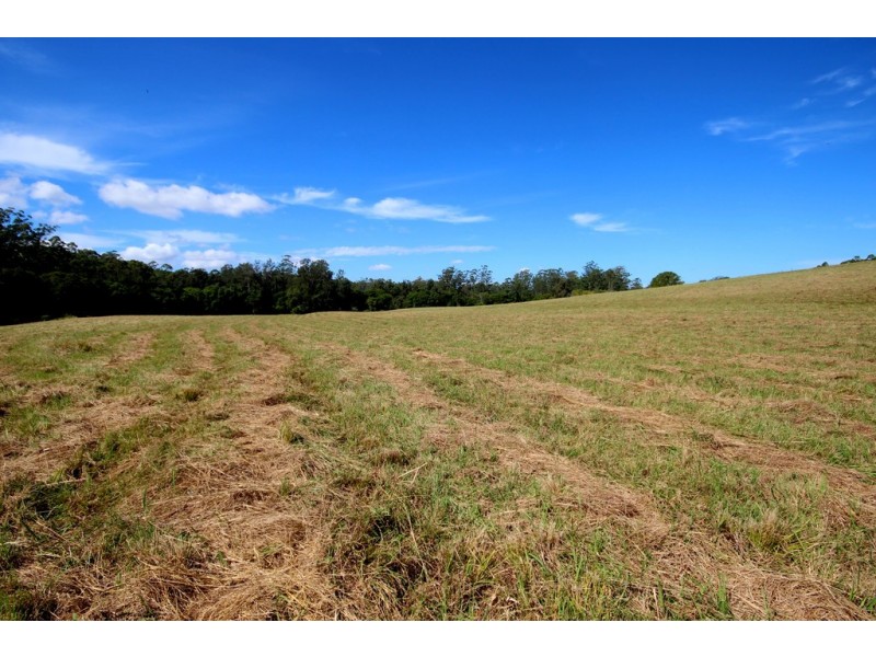 824 Bellangry Road, Bellangry NSW 2446