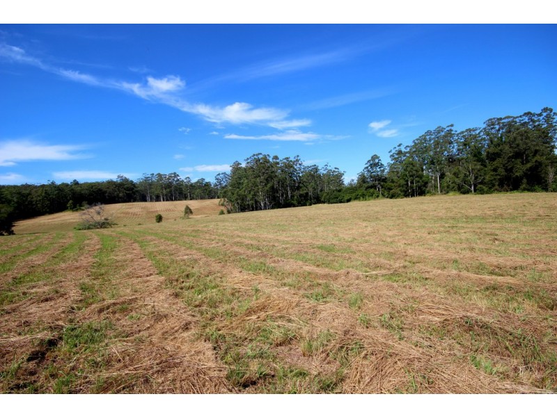 824 Bellangry Road, Bellangry NSW 2446