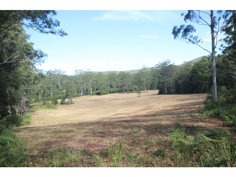 824 Bellangry Road, Bellangry NSW 2446