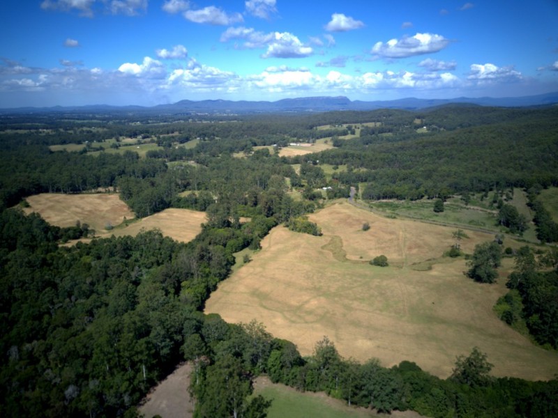 824 Bellangry Road, Bellangry NSW 2446