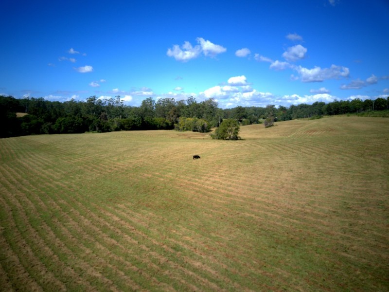 824 Bellangry Road, Bellangry NSW 2446