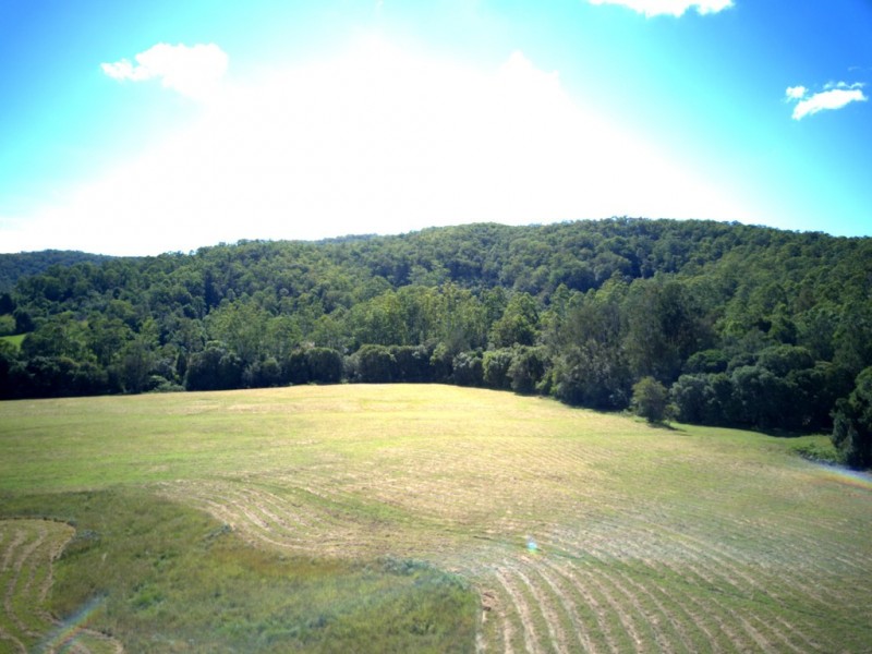 824 Bellangry Road, Bellangry NSW 2446