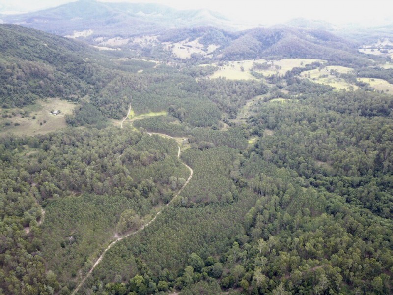 Lot 6 Blue gum lane, Toms Creek NSW 2446
