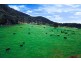 1234 Koppin Yarratt Road, Comboyne NSW 2429