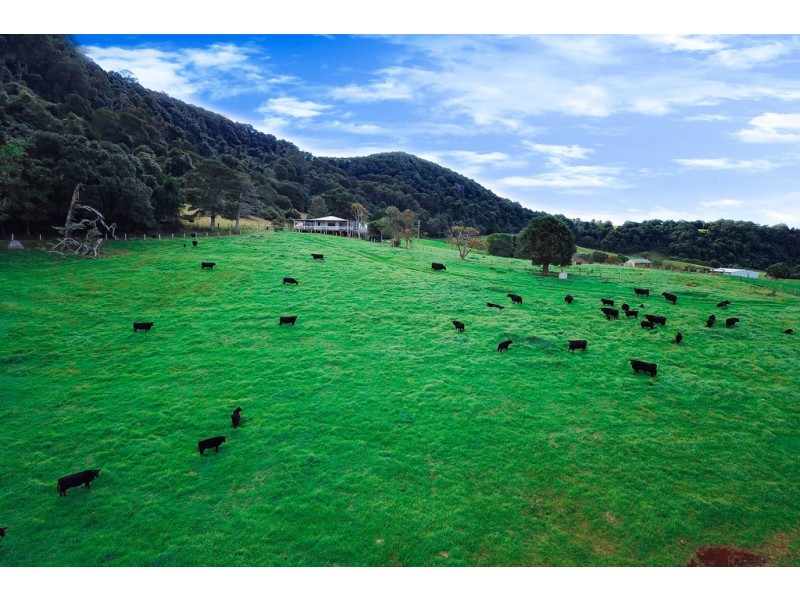 1234 Koppin Yarratt Road, Comboyne NSW 2429