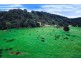 1234 Koppin Yarratt Road, Comboyne NSW 2429
