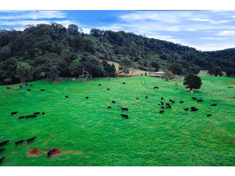 1234 Koppin Yarratt Road, Comboyne NSW 2429