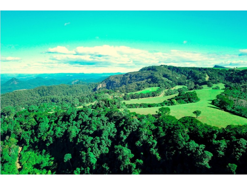 1234 Koppin Yarratt Road, Comboyne NSW 2429