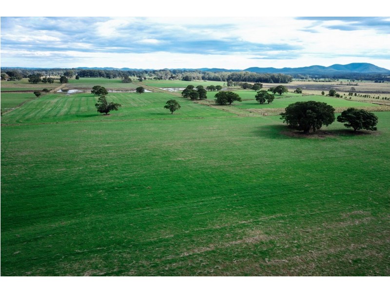 18 Carswell Road, Redbank NSW 2446