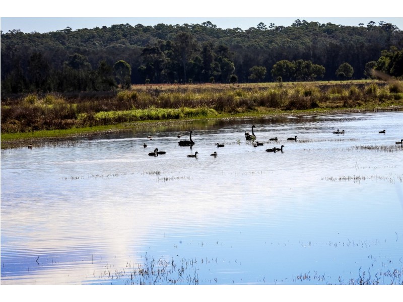 18 Carswell Road, Redbank NSW 2446