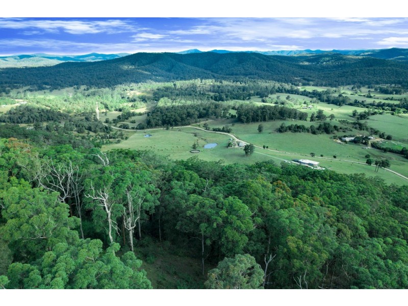 966 Pipeclay Road, Pipeclay NSW 2446