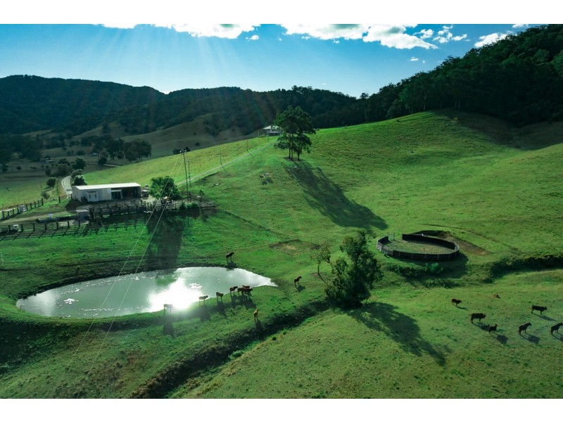 966 Pipeclay Road, Pipeclay NSW 2446