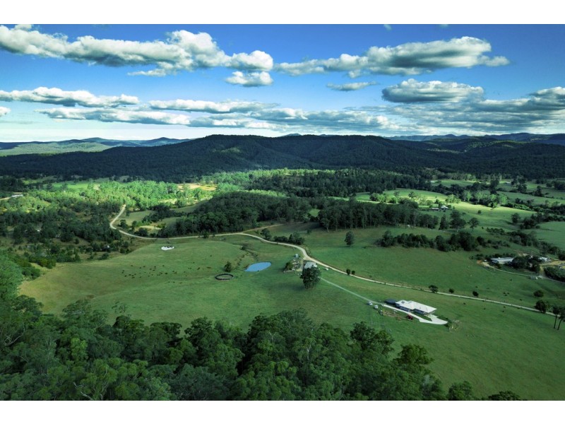 966 Pipeclay Road, Pipeclay NSW 2446