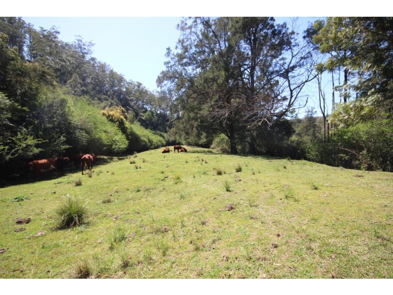 265 Rocky Falls Road, Ellenborough NSW 2446