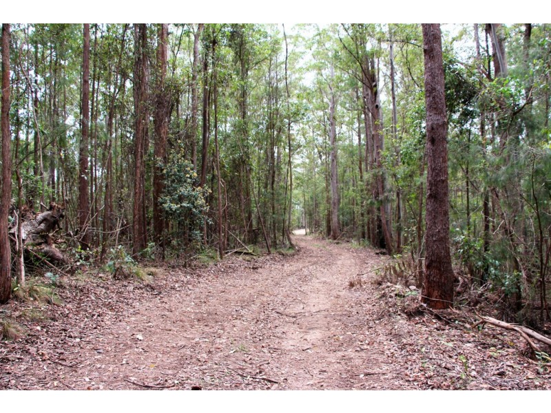Pappinbarra NSW 2446