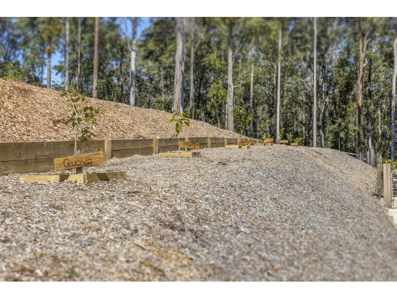 19 Harriet Place, King Creek NSW 2446