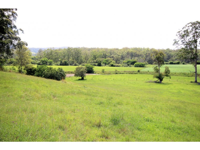1500 Pipeclay Road, Pipeclay NSW 2446