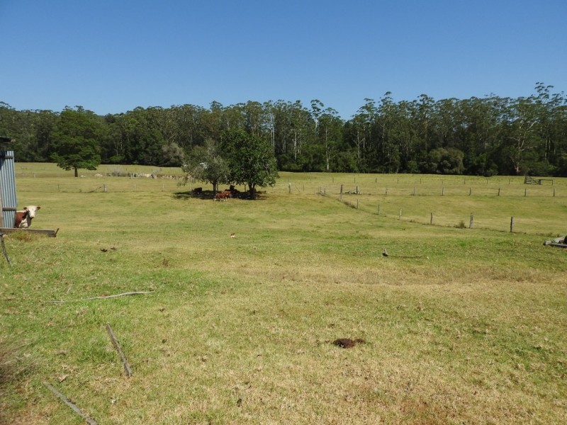 484 Blackbutt Road,, Herons Creek NSW 2443