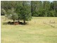 484 Blackbutt Road,, Herons Creek NSW 2443