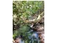 1040 Ponsford Road, Ellenborough NSW 2446