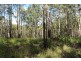 1040 Ponsford Road, Ellenborough NSW 2446