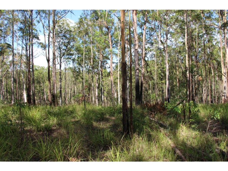 1040 Ponsford Road, Ellenborough NSW 2446